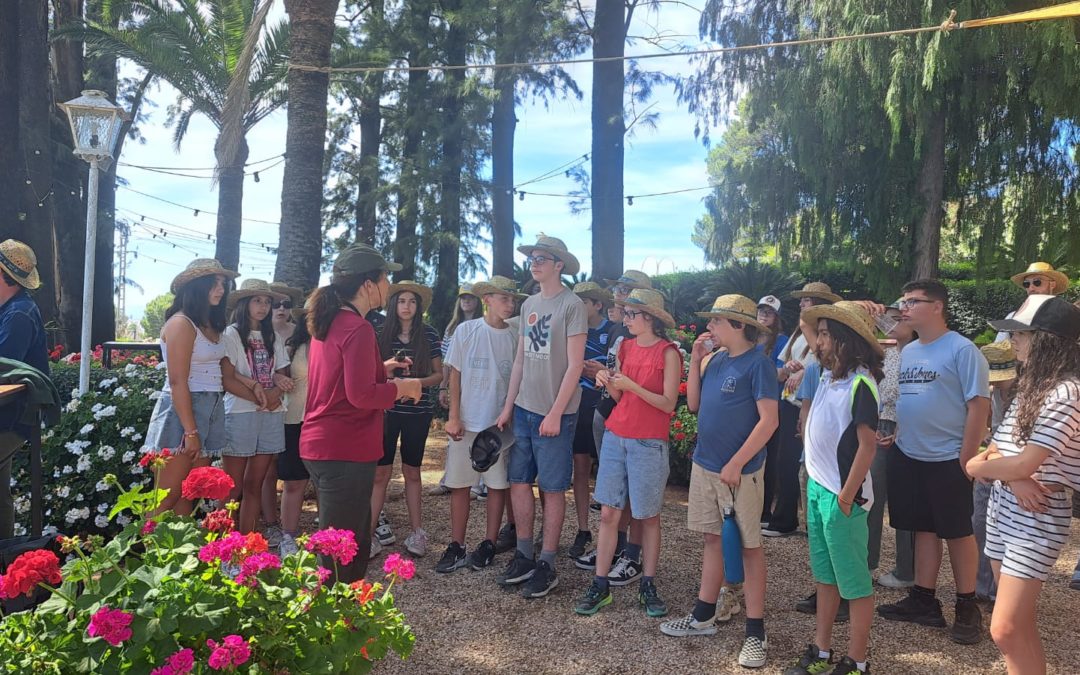 Séjour à Valence : une semaine riche en découvertes pour les élèves de 4e et 5e Montaut